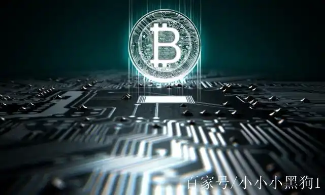 Modern mining farm hosting hundreds of cryptocurrency mining machines
