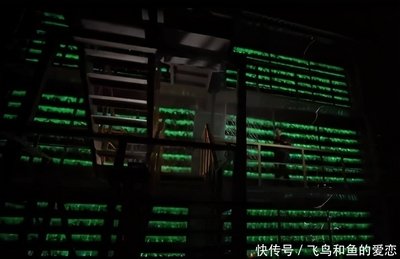 A large-scale mining farm utilizing advanced liquid cooling technology for efficient operation