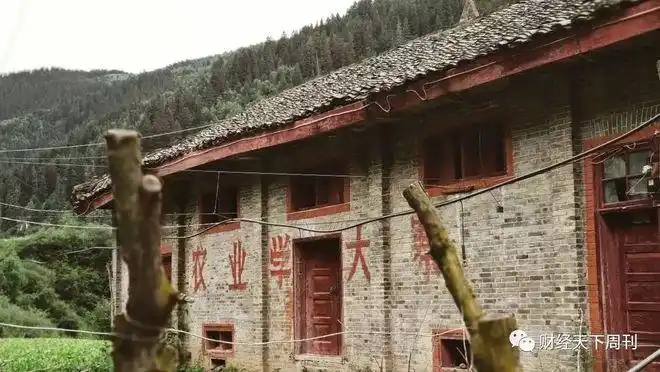 Solar panels powering a bitcoin mining farm